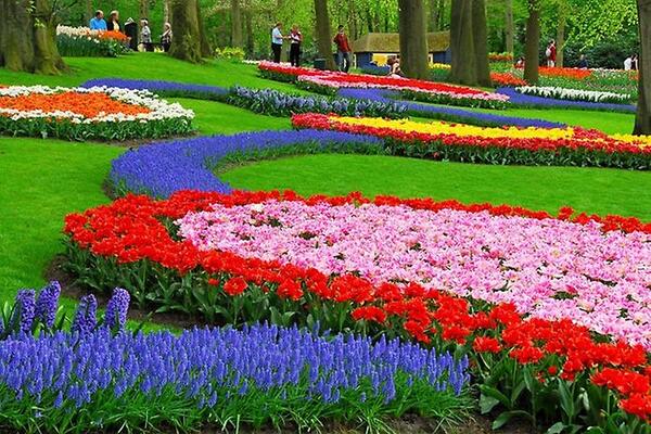 Дев'ять способів додати кольору саду