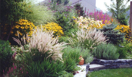 Дизайн осіннього саду: створіть затишний і привабливий осінній оазис