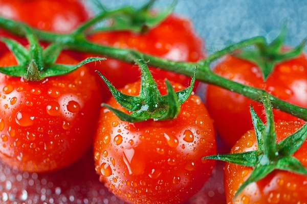 Як виростити найсмачніші помідори